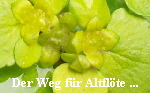 Der Weg02